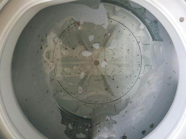 告别顽固污渍！一招教你轻松清洁折叠洗衣机内胆